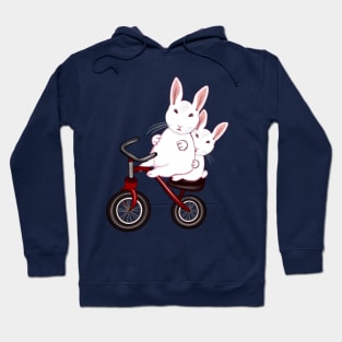 bunny rabbits on a bicycle- cute bunny rabbit peeking out Hoodie